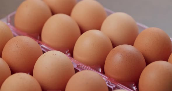 Pack of the chicken egg alt