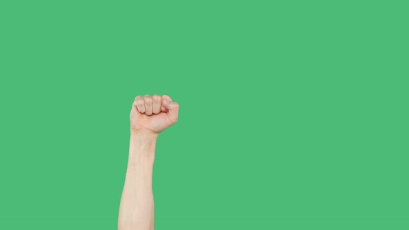 Human Hand Palm Clenched Fist on Green Chromakey Background. Raised Clenched Hand Fist on Green alt