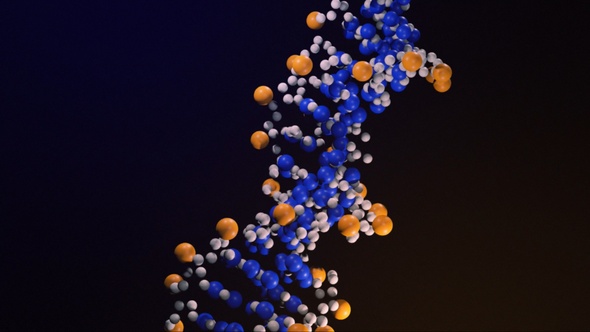 3D Animation Of The Original 3BSE DNA Molecule Model