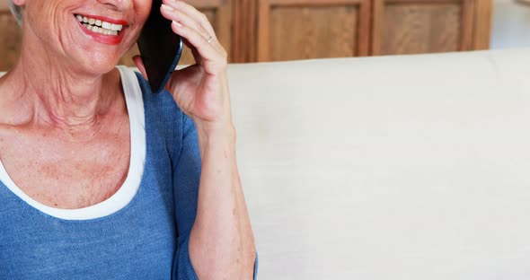 Smiling senior woman talking on mobile phone in living room alt