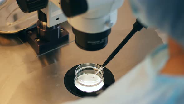 A Person Checks Samples with a Microscope alt