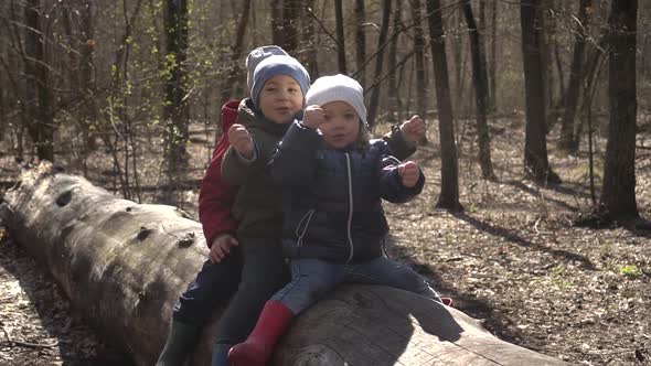 Two Siblings Have Fun in the Forest Sitting on a Tree, Slow-mo