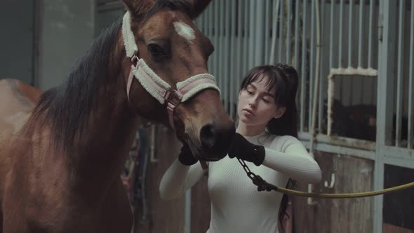 A rider stroking her horse