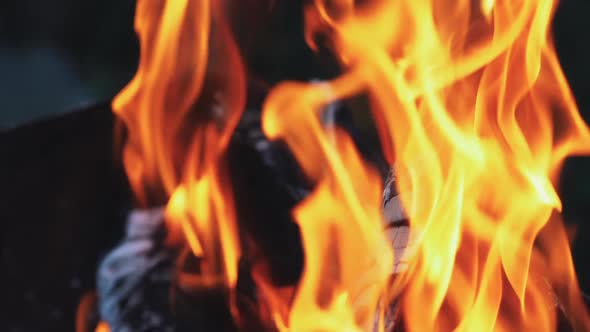 Hot Fireplace Full of Wood alt