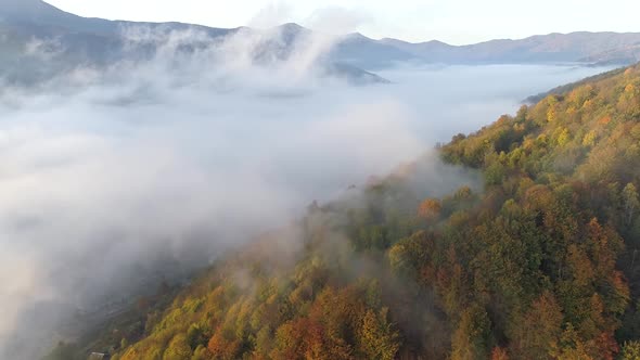 Valley Covered with Mist, Mountain Covered with Forest on the Right, Mountains in Background alt