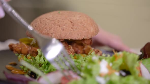Healthy Burger with Salad