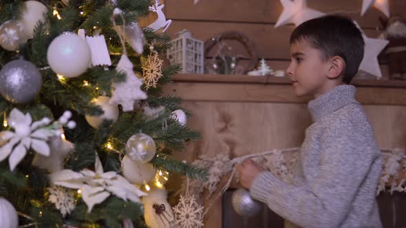 A Little Boy Decorates a Christmas Tree with a Beautiful Ball Having a Good Mood alt