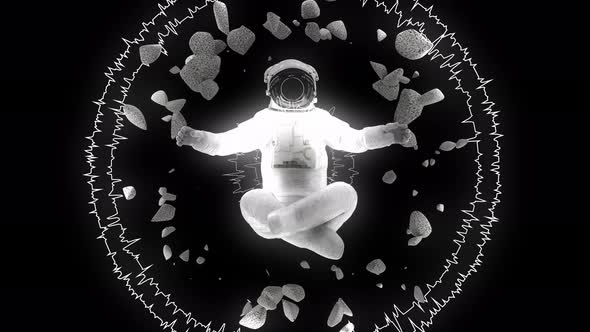 Lifetime Astronaut alt