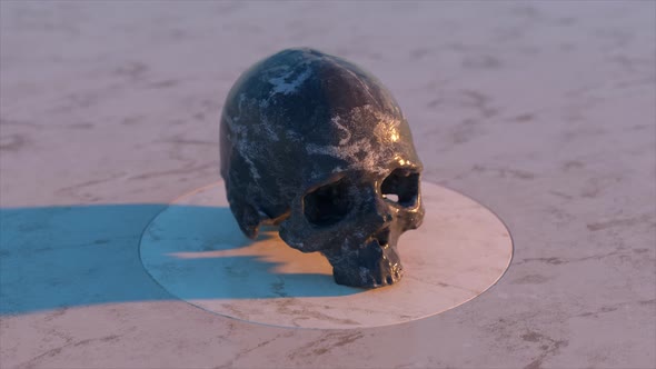 Human Skull Rotates and Flips on a Platform alt