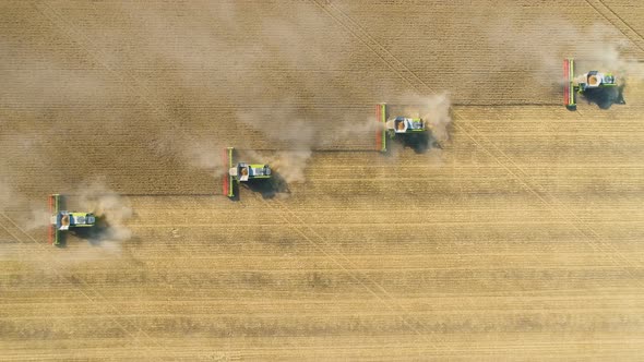 Top Down View of Combine Machines Working in Wheat Field . alt
