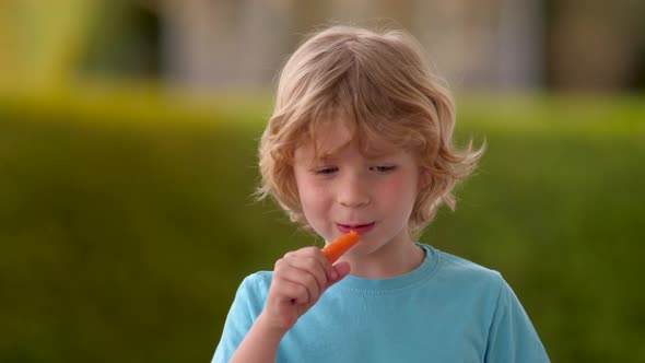 Blond boy eats delicious fresh carrots