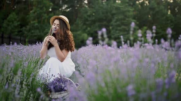 Side View of Gorgeous Young Woman Wearing Farm Outfit Collecting Summer Lavender Harvest alt
