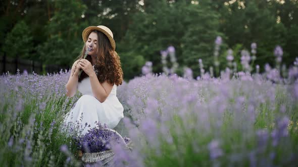Side View of Gorgeous Young Woman Wearing Farm Outfit Collecting Summer Lavender Harvest