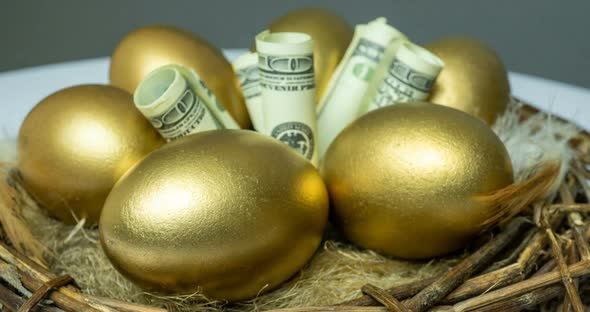 Golden Eggs in a Bird's Nest, with Banknotes, Concept of Investment, Retirement Savings alt