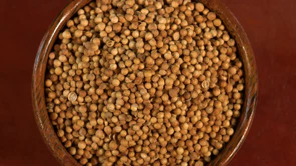 Coriender Seeds Rotation  alt