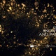 Golden Snowflakes And Particles Pack 10in1 - VideoHive Item for Sale