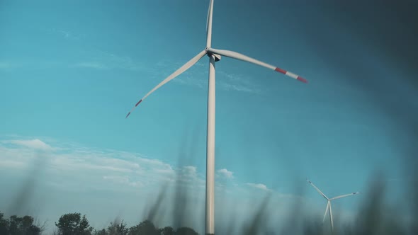 Motion Through Green Wheat to Wind Turbine Against Blue Sky