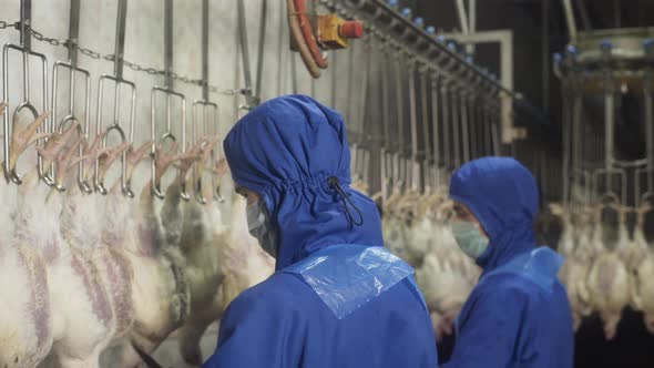 Muslim Men Recite a Prayer During Meat Production in Halal Chicken Meat Industry alt