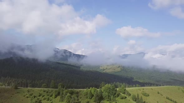 Aerial Panorama of the Wooded Carpathians