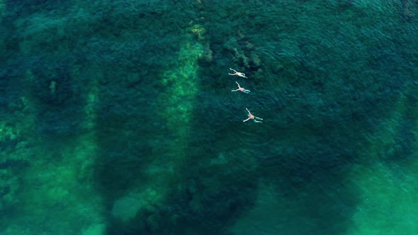 Top View on Three People Swimming in the Sea in Transparent Water with Big Stones at the Bottom