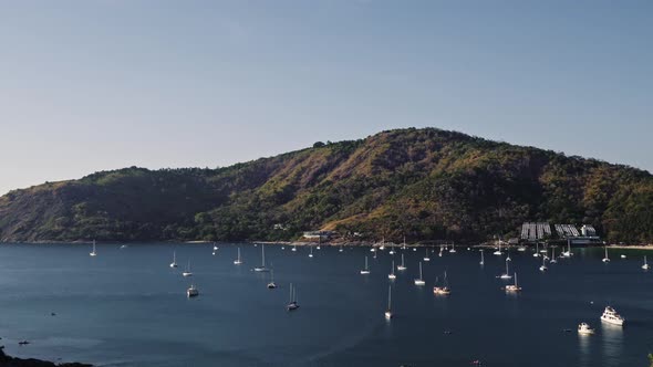 Sailing Boats and Yachts in the Bay of the Island