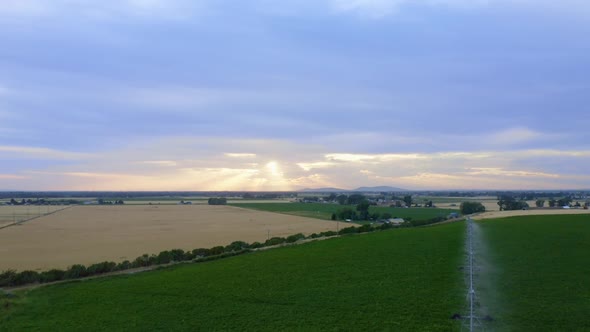 Potato Fields