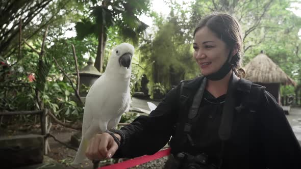 A Cute White Cockatoo Sitting on a Hand of a Female Traveler in Bali Indonesia