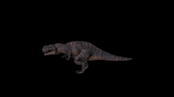 Tyrannosaurus Trex Run alt