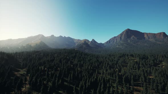 Aerial View Over Mountain Range with Pine Forest in Bavaria alt