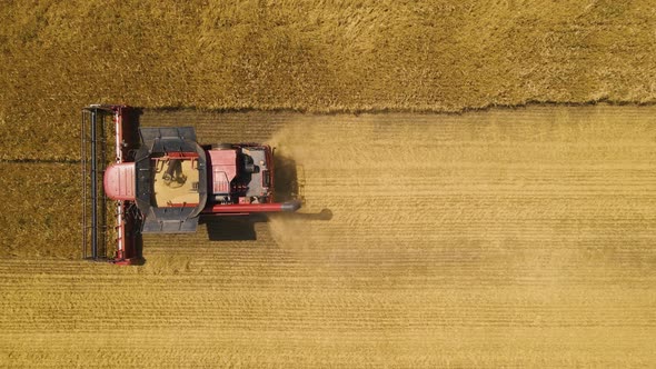 Aerial View  Resolution Modern Combine Harvester Collects Ripe Wheat alt