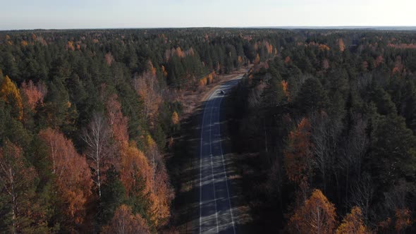 Panorama of colorful autumn forest and road