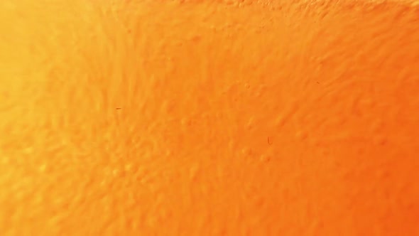 Pouring beer into glass. Close up of beer foam. Static alt