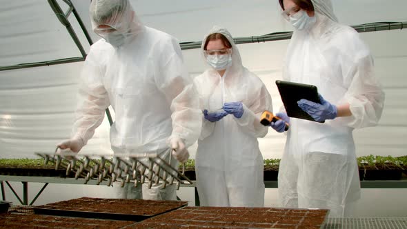 Farmers Planting Seeds in Greenhouse