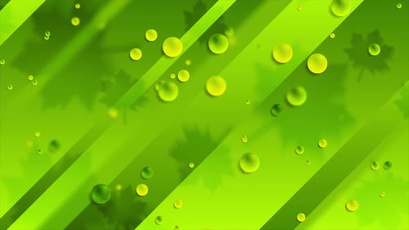 Bright Green Summer Leaves And Bubbles