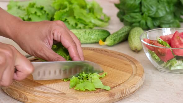 Woman hands cut fresh green lettuce leaves to make salad, homemade food.