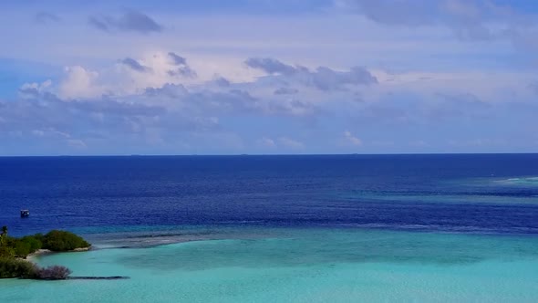 Aerial drone scenery of coast beach wildlife by clear ocean and sand background alt