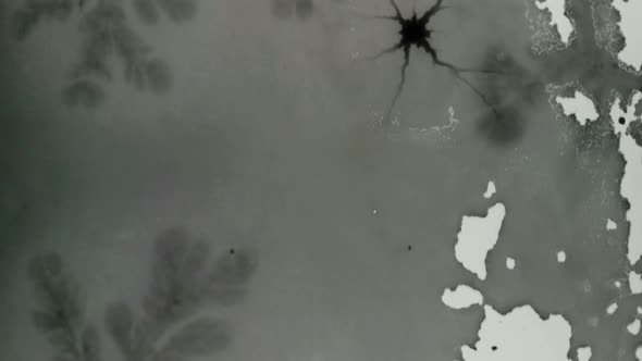 Beautiful view on an frozen Lake in Schiederweiher in Upper Austria Drone Video alt