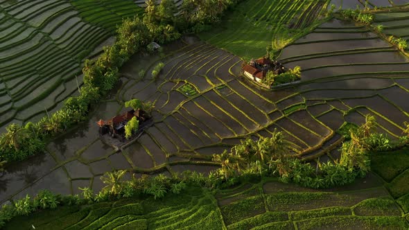 Jatiluwih Rice Terraces Ubud Bali Aerial view from drone. alt