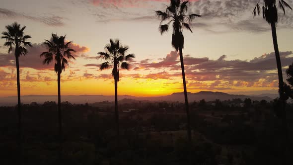 Aerial shot of clouds and sunset behind a row of palm trees alt