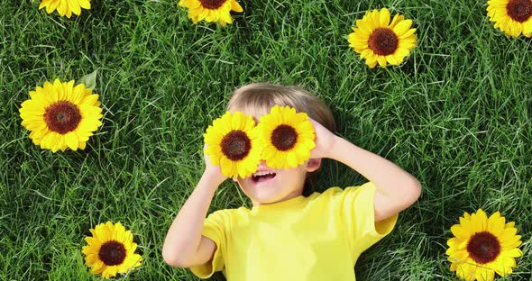 Happy child lying on green grass amid sunflowers. Slow motion