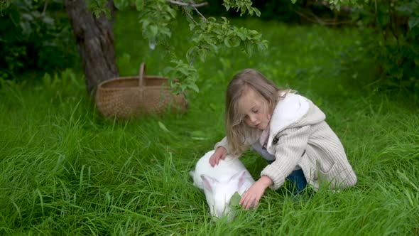 A cute little girl is playing with a white hare in the garden.
