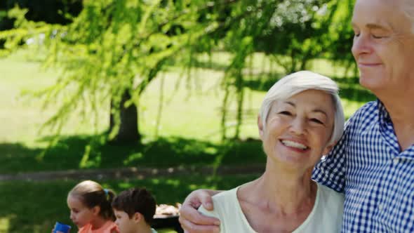 Senior couple embracing each other in the park alt