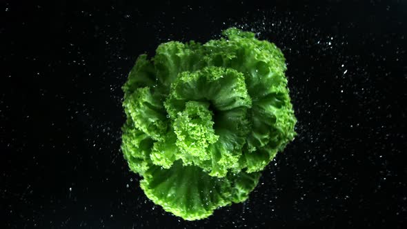 Super Slow Motion Shot of Rotating and Splashing Fresh Lettuce at 1000Fps. alt