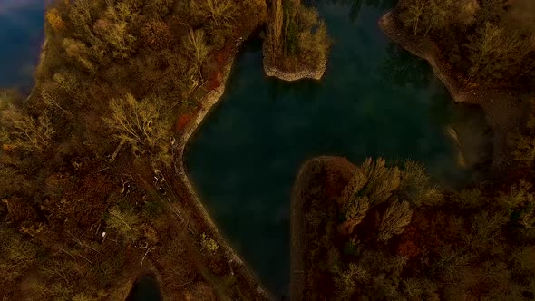 Lakes and Trees from the birdseye perspective. alt