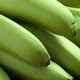 {Bunch of fresh green healthy unripe mini bananas on wooden background  - VideoHive Item for Sale