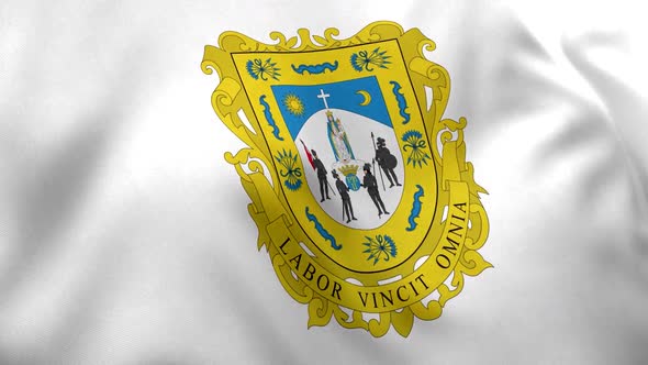 Zacatecas Flag (Mexico) alt