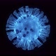 Blue  polygon  virus cell - VideoHive Item for Sale