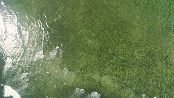 Seascape with Beach and Sea alt