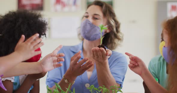 Female teacher wearing face mask showing plant sapling to students in class alt