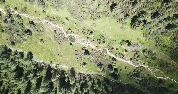 hiking trail from above